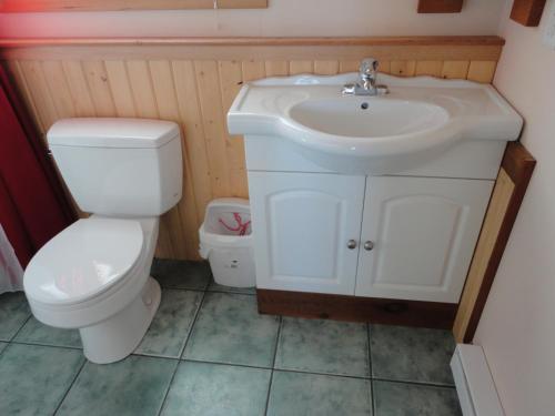 Elm Tree Farm B&B