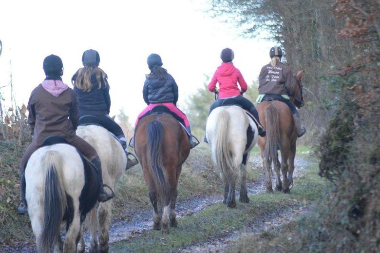 Bed & Breakfast La Ferme Des Pr�s