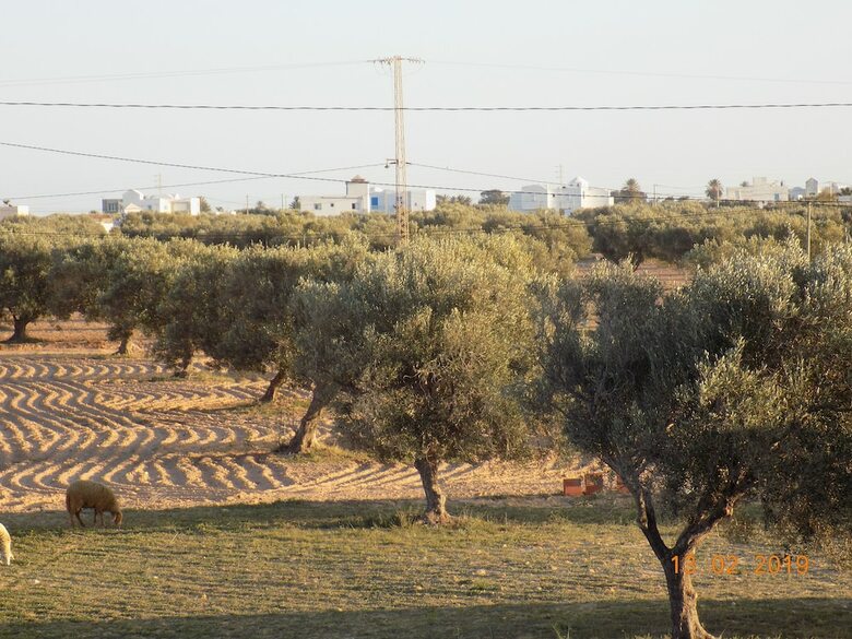 Hotel Dar Mamina