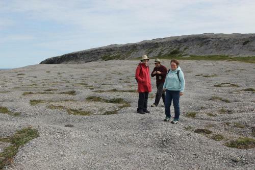 Burnt Cape Cabins