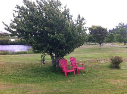 Argyle By The Sea Bed & Breakfast