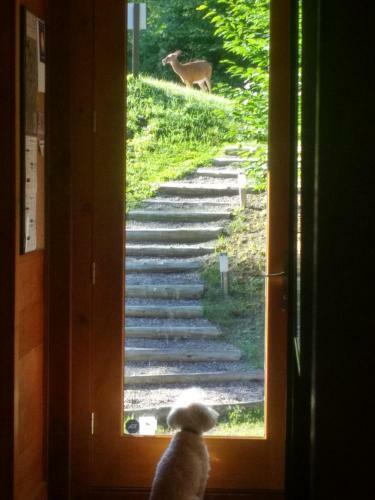Chalet F16 Mont-tremblant Nord