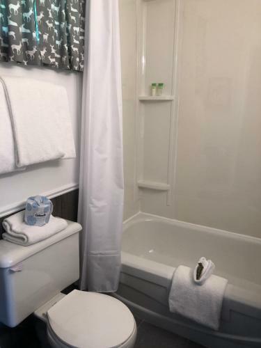 Dwight Village Motel