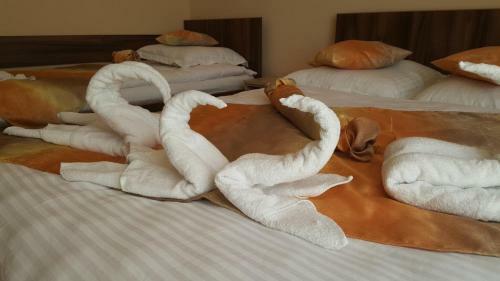Hostal Casa Alex