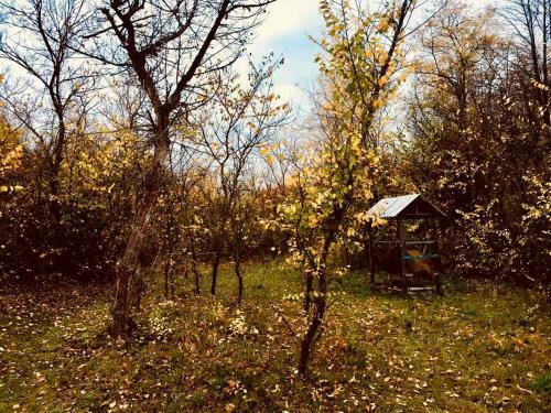 Apartamento Orelskyi Dvor