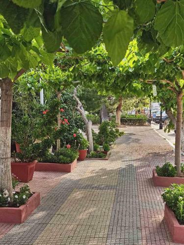 Porto Arimar Hotel