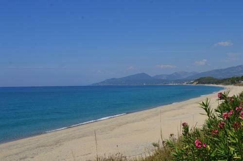 Margarita Apartments
