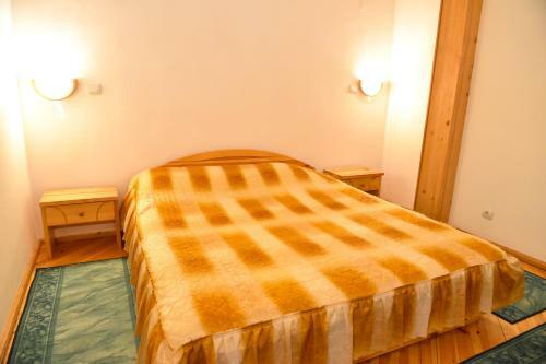 Hotel Vihren