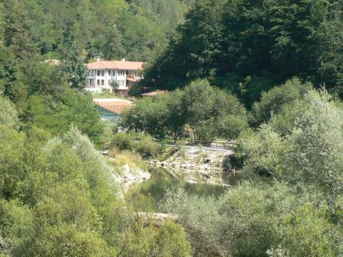 Fisherman's Hut Hotel