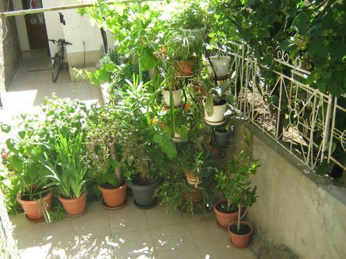 Hostal Apartment Nevena