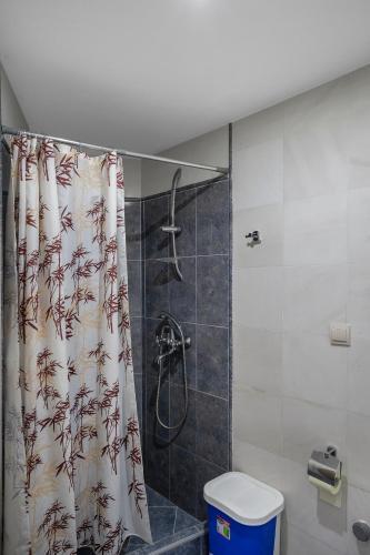 Garden & Swimming Pool Apartments Orahovac