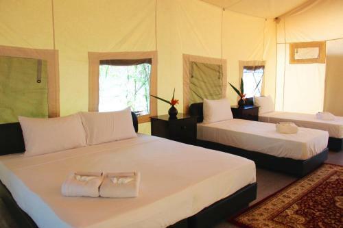 Orchard Wellness Safari Suites