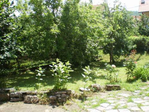 Apartamento Studio Elizabeta