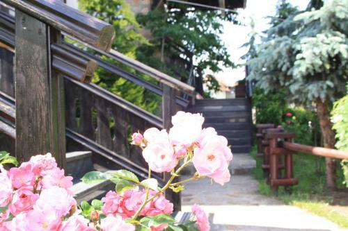 Bed & Breakfast Zlatni Dvor