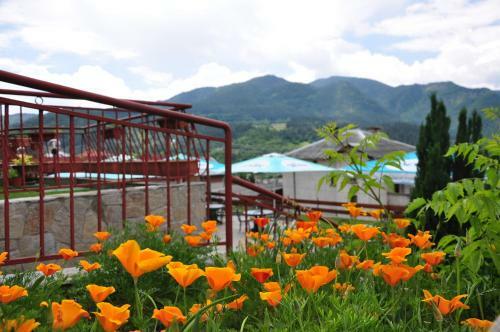 Hostal Kris Guest House