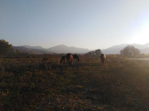 Posada Mountain Rider Inn Dakhovskaya