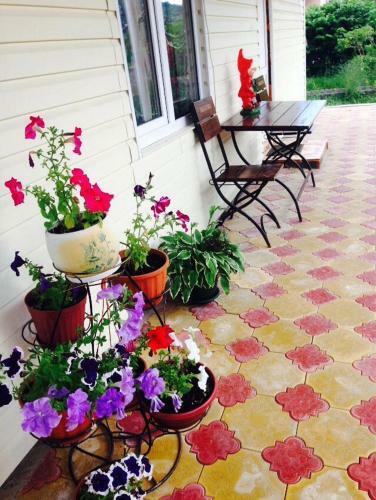 Hostal Guest House Ellina