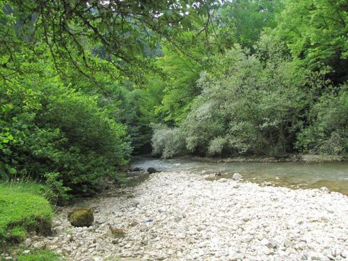 Hostal Guest House In Nikortsminda Racha