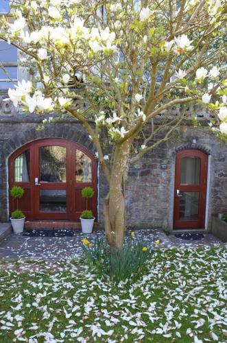 Bed & Breakfast Ferndale Mews