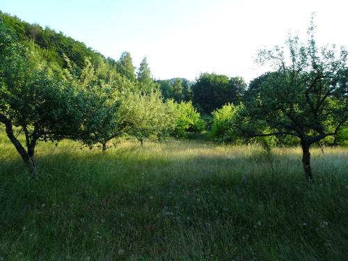 Holiday Home Crkvina