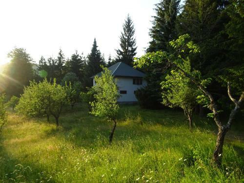 Holiday Home Crkvina