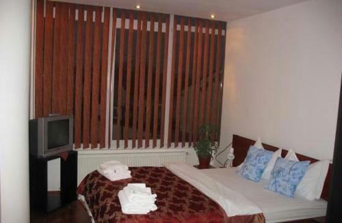 Hotel Pensiunea Dariana