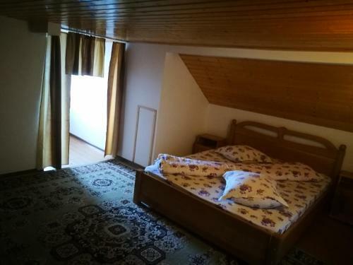 Hostal Pensiunea Remus
