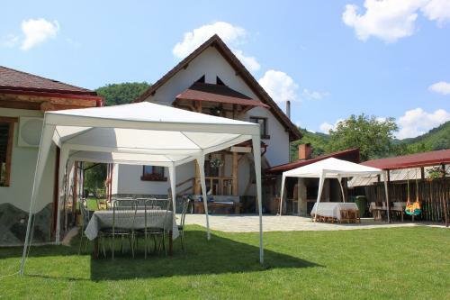 Villa Conacul De Sub Munte