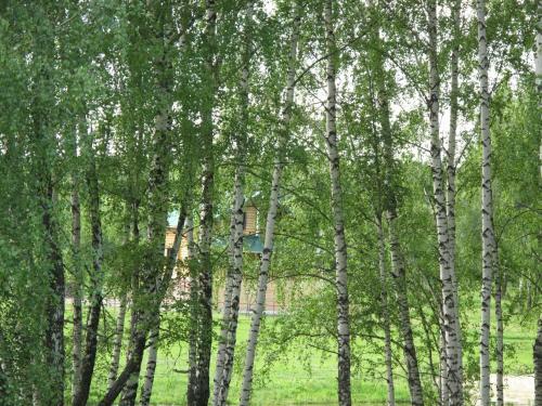 Agroturismo Eco-park Rozhdestveno