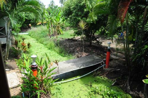 Suan Baan Kollapaphruek