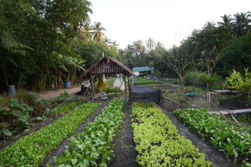 Hotel Baantip Suantong
