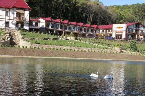 Mishyn-city Hotel