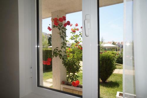 Dom-el Real Apartments 3 - Sveti Vlas