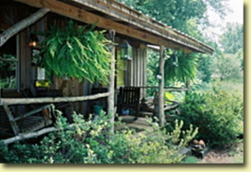 Black Forest Rustic Country Cabin