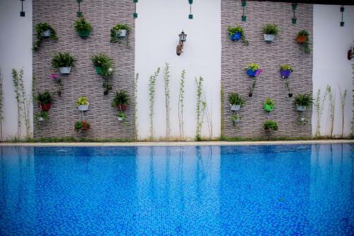Vanda Phu Quoc Hotel