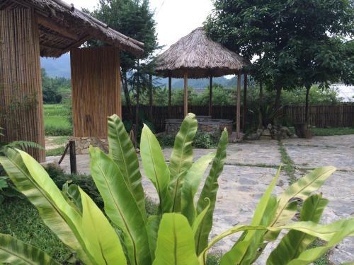 Bed & Breakfast Dao Lodge