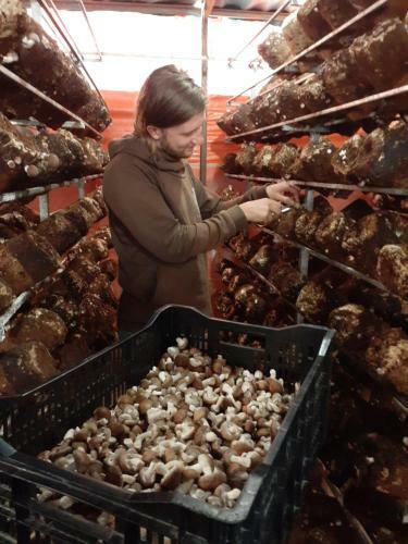 Homestay Da Blah