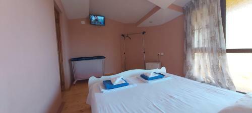 Hostal Guest House Pegas