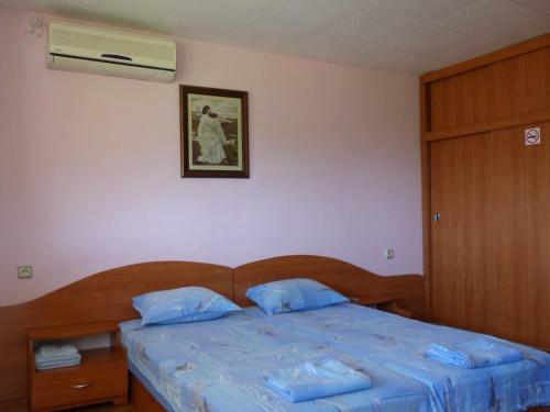 Hostal Guest House Delphini