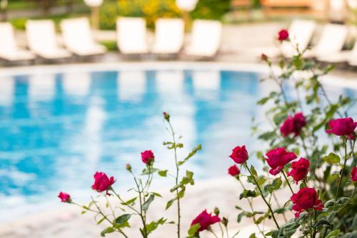 Hotel Garden Of Eden Complex