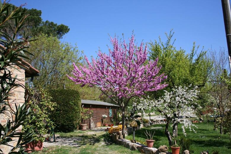 Agroturismo Agriturismo Grecinella