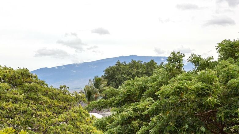 Villages At Mauna Lani #621