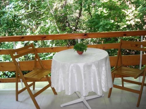 Hostal Villa Exotica
