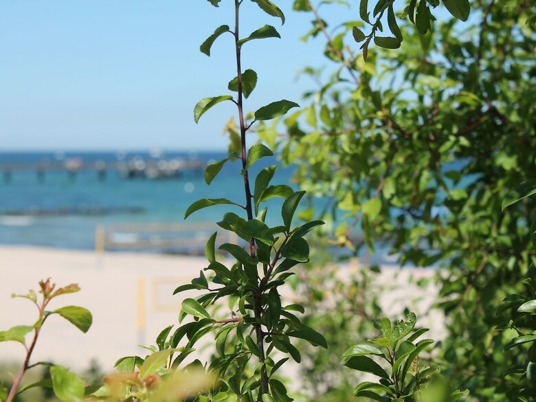 Comfy Apartment In Kr�pelin Near Seabeach