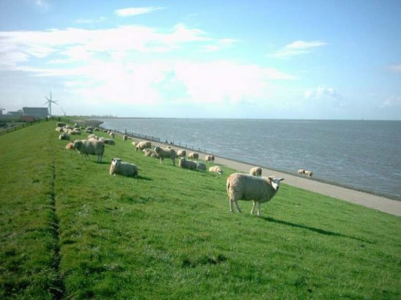 Nice Chalet With Microwave, Near The Wadden Sea