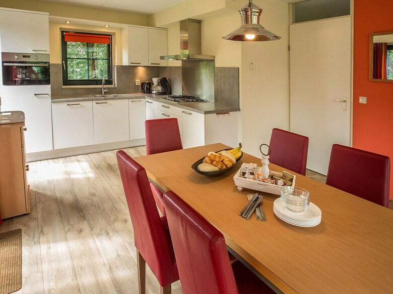 Detached Holiday Home With Combi Microwave, In Green Twente