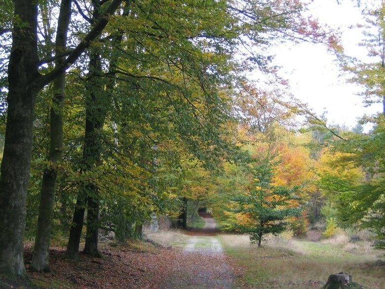 Modern Villa With Deco Fireplace And Dishwasher In de Veluwe