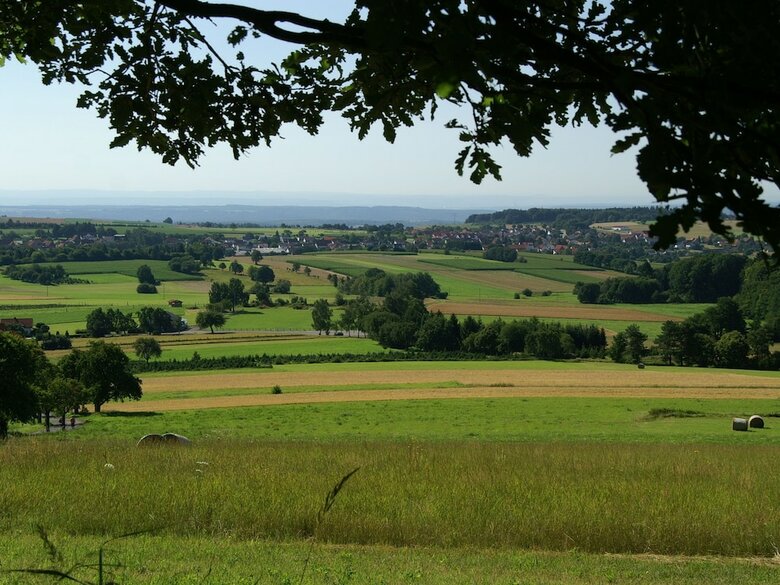 Detached, Nice Bungalow On Katzenbuckel Mountain