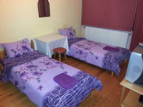 Hostal Guest House Drakite