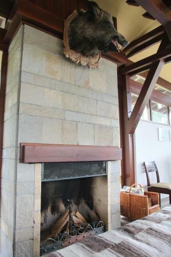 Villa Ski & Spa Lodge Bansko